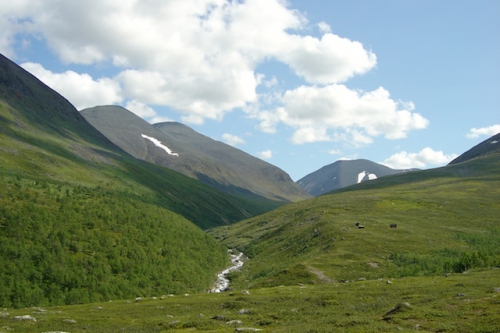 Kungsleden