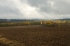 Clouds, trees and a field