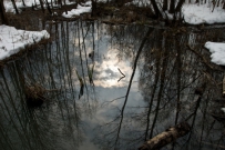 Reflectie van de zon in het water