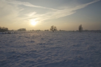 Sneeuwlandschap