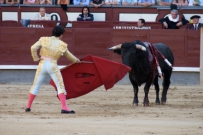 Torero