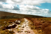 The Wicklow Way